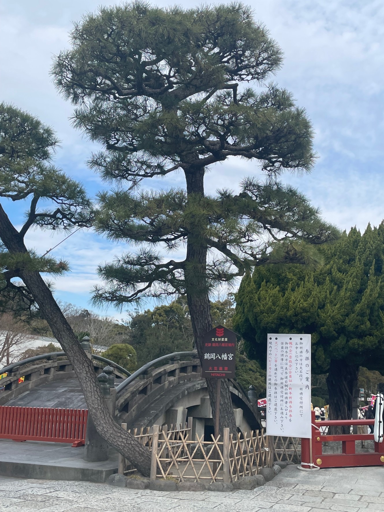 鶴岡八幡宮　赤橋