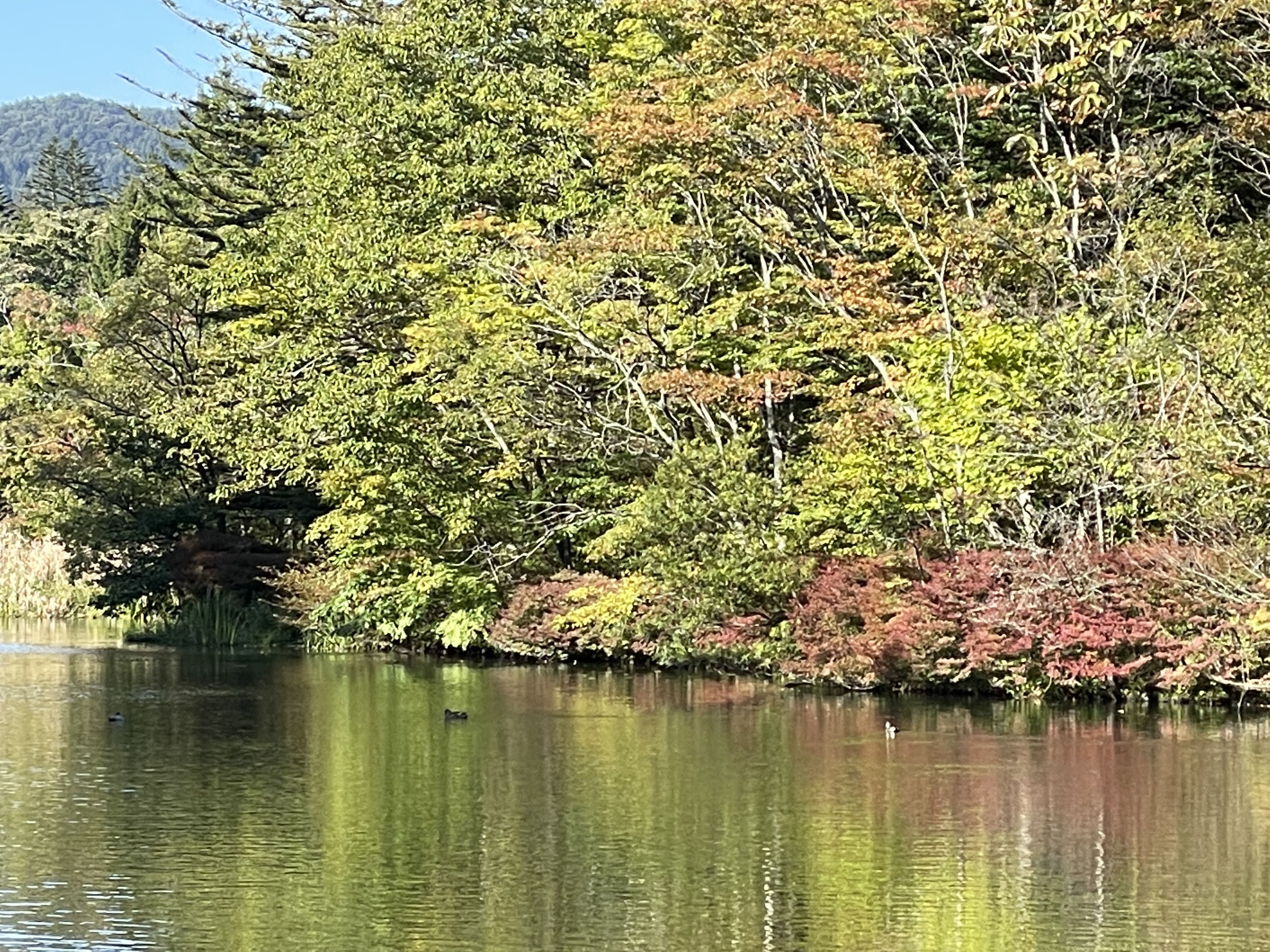 軽い井沢