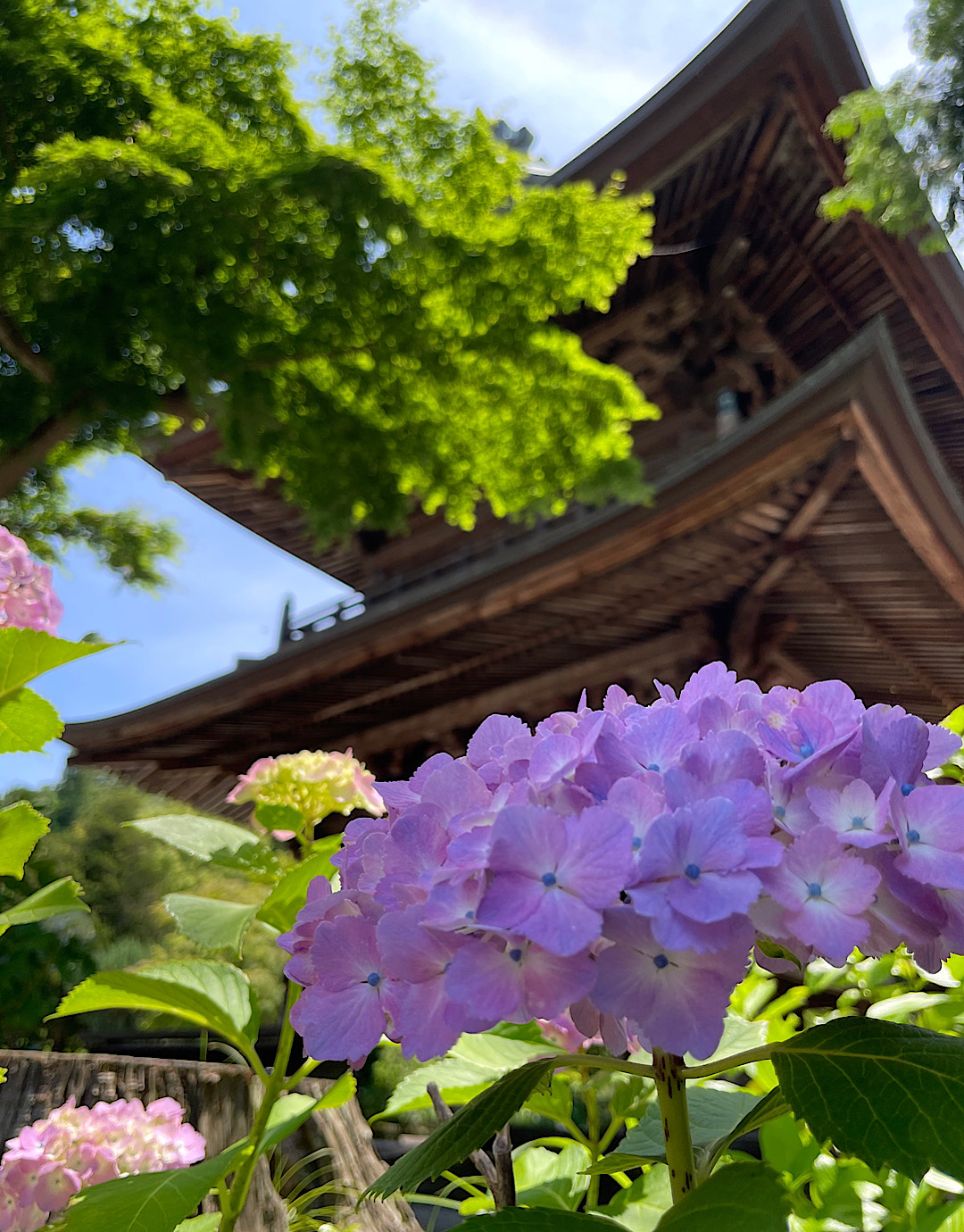 北鎌倉　円覚寺から