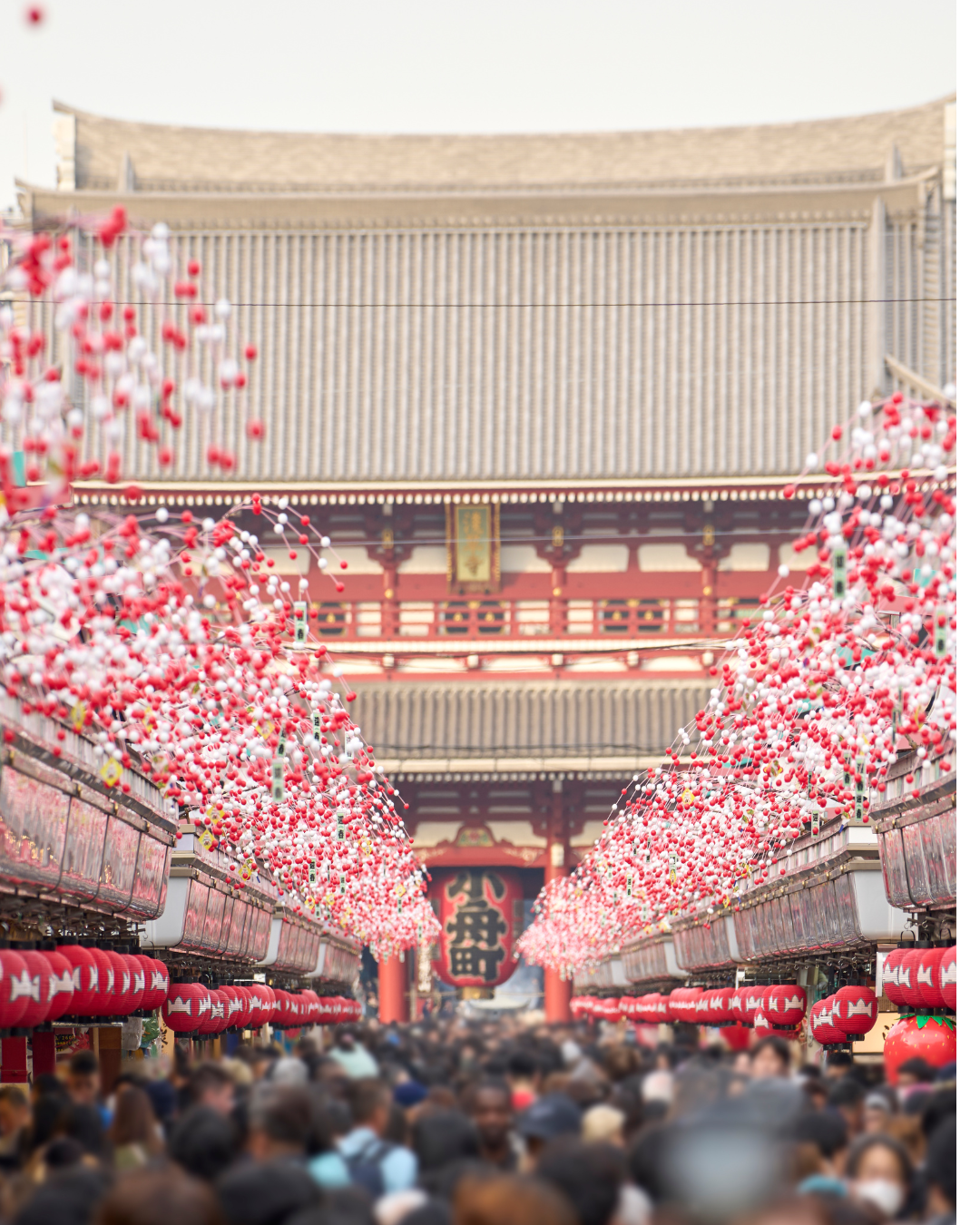 師走　アサクサ