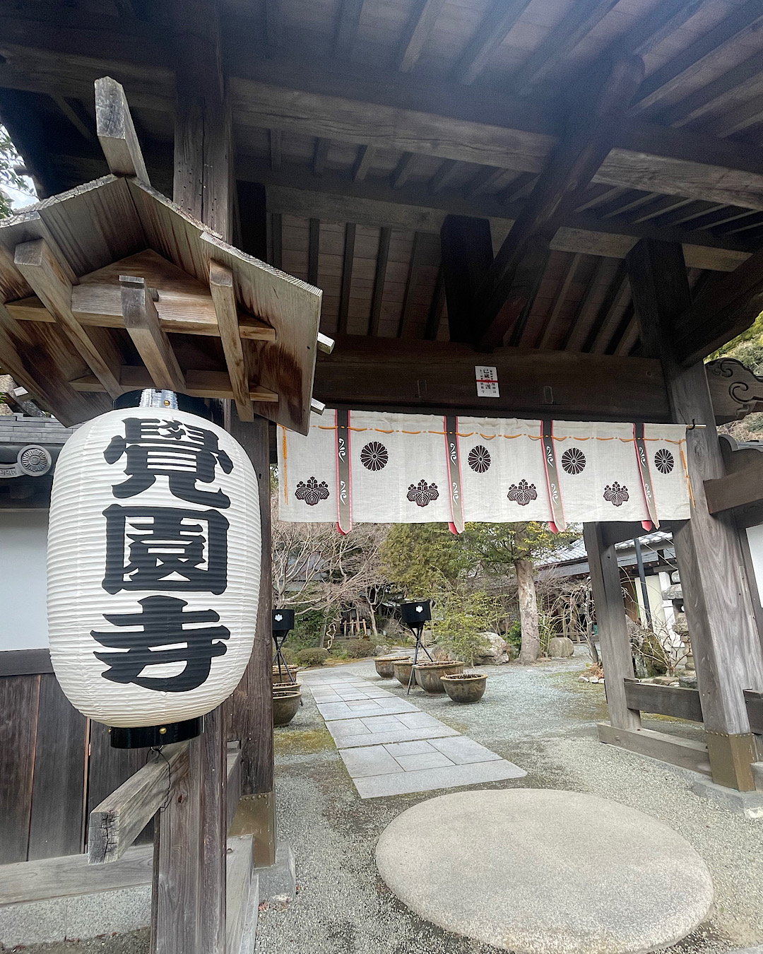 カマクラ　花粉症に抗じたい