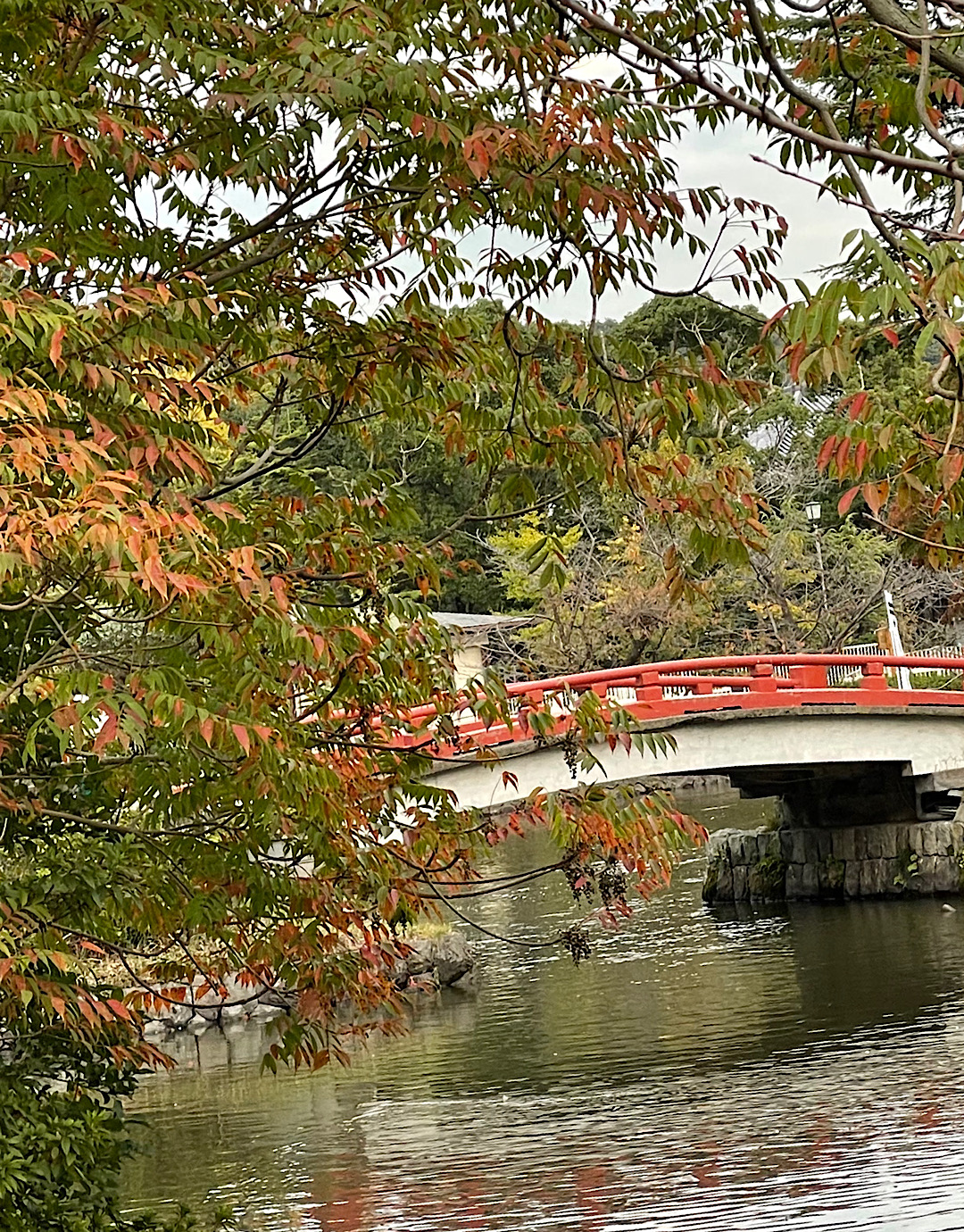 鎌倉　霜月をむかえて