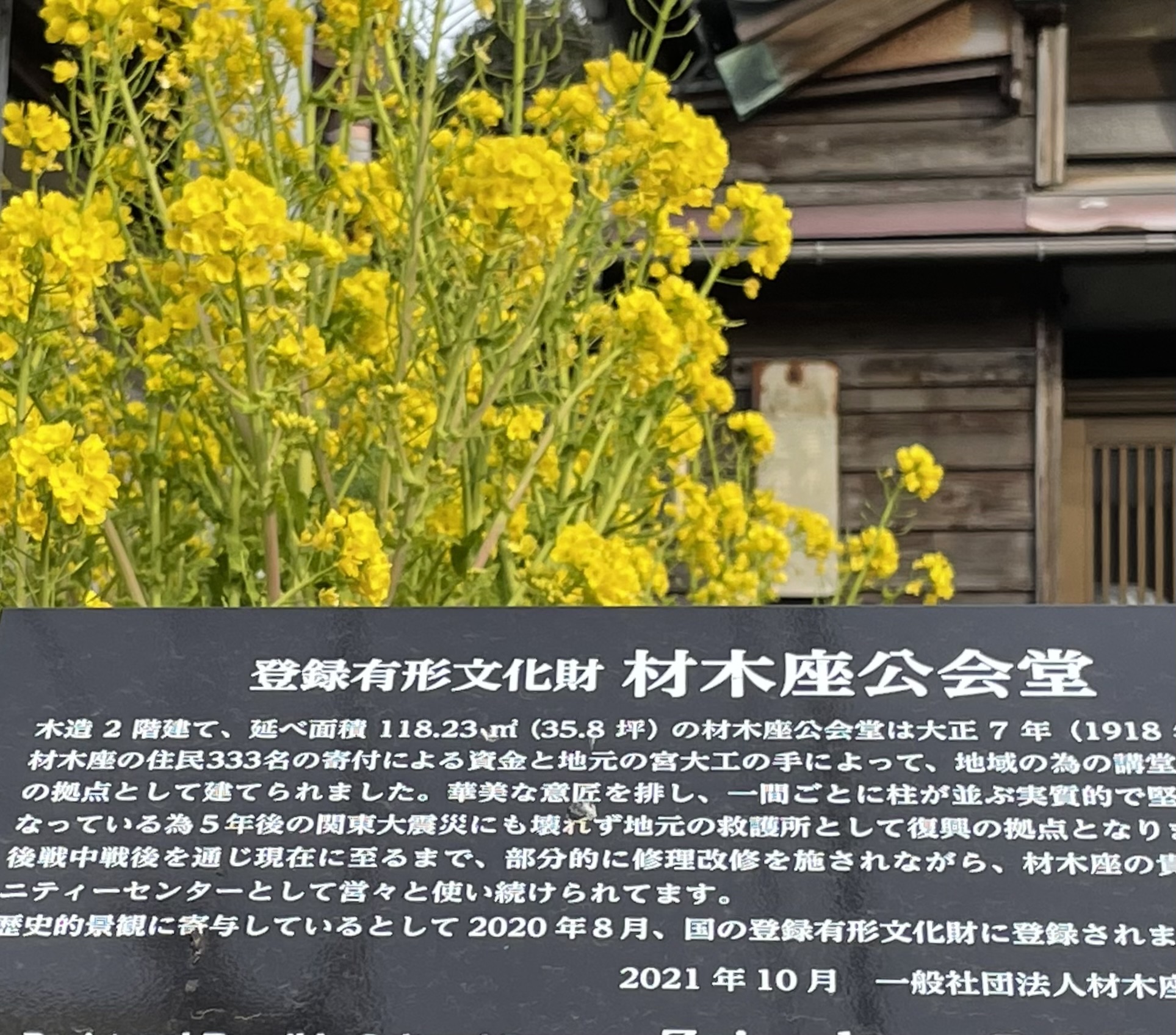 鎌倉から春