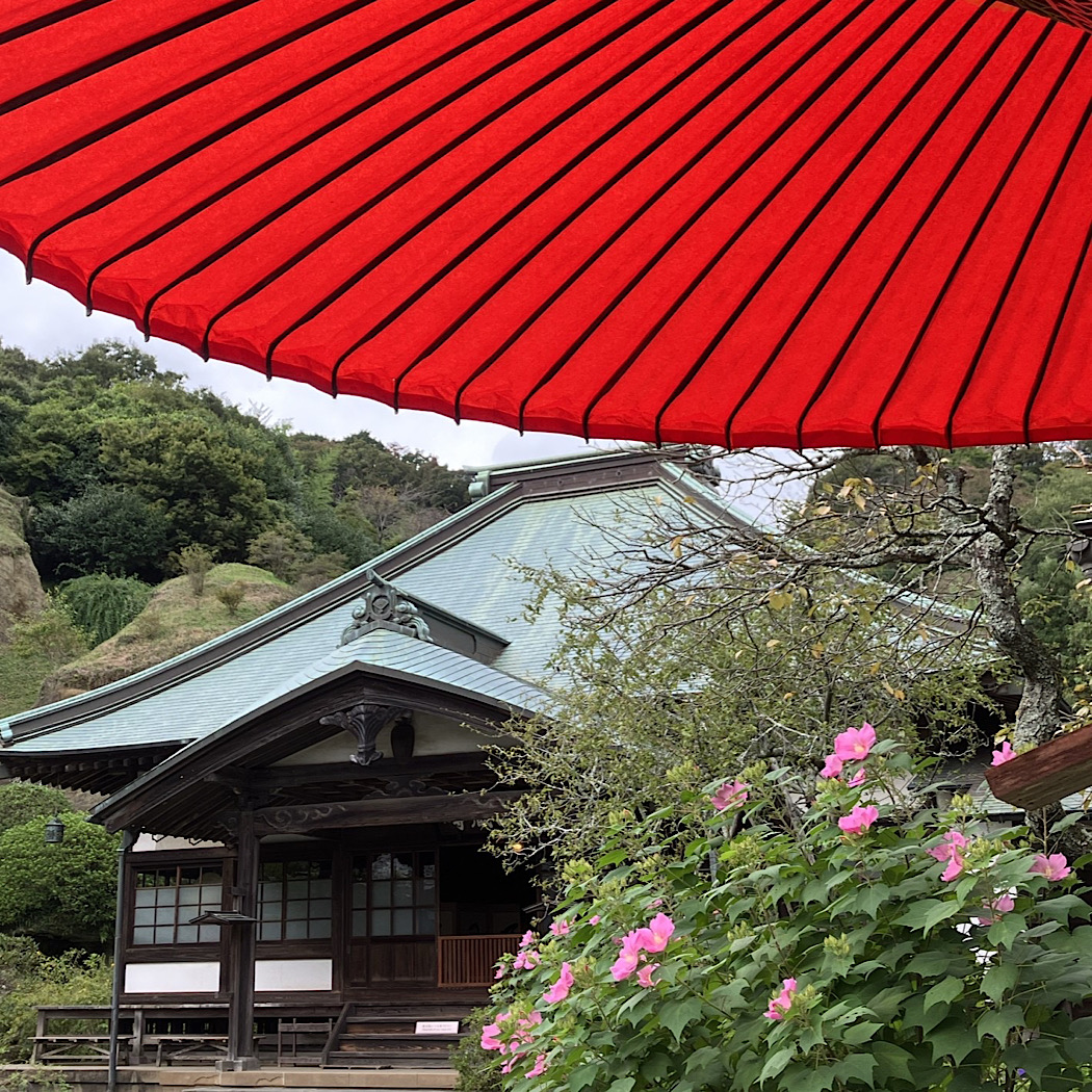 鎌倉の花寺めぐり