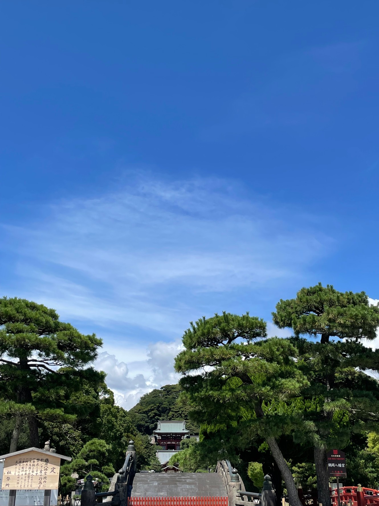 鎌倉　八幡さま