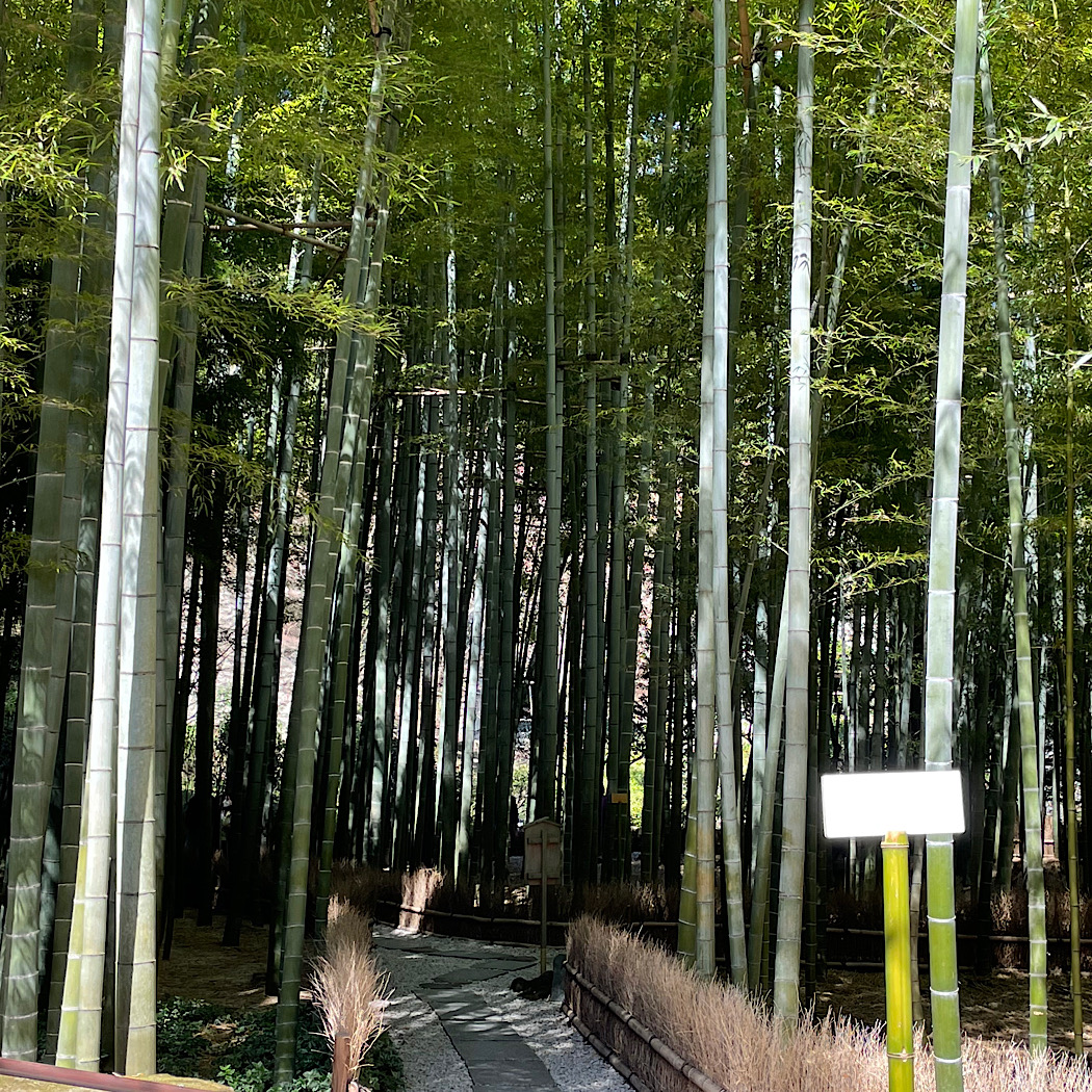 金沢街道の報国寺