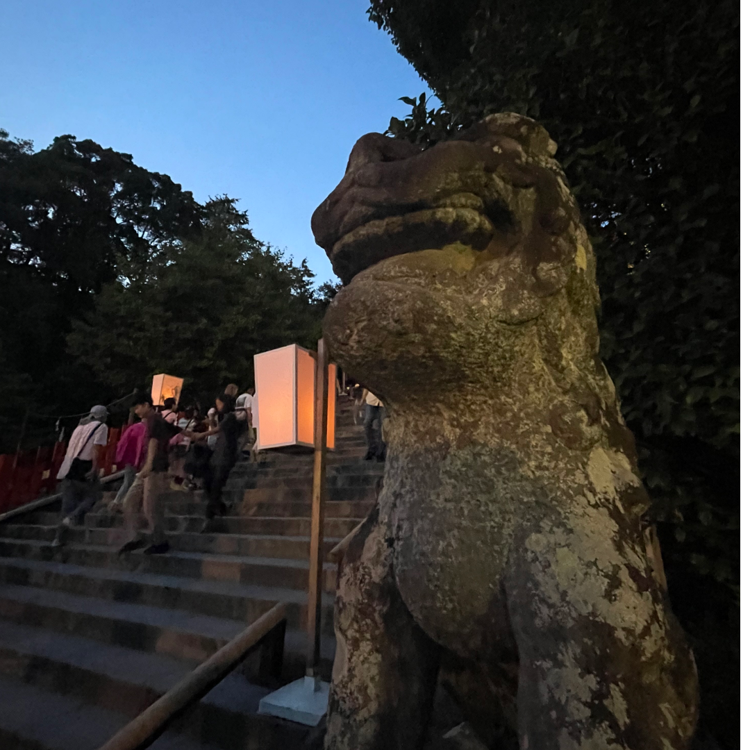 鎌倉365ぼんぼりまつり