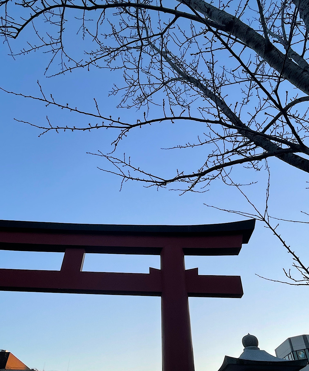 鎌倉から見えるコト