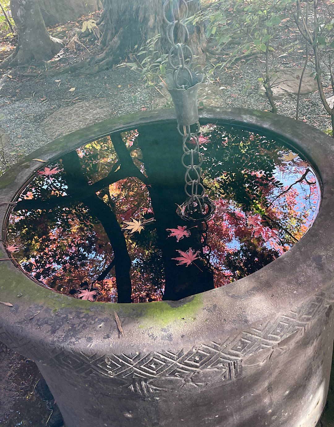 鎌倉　紅葉だより②