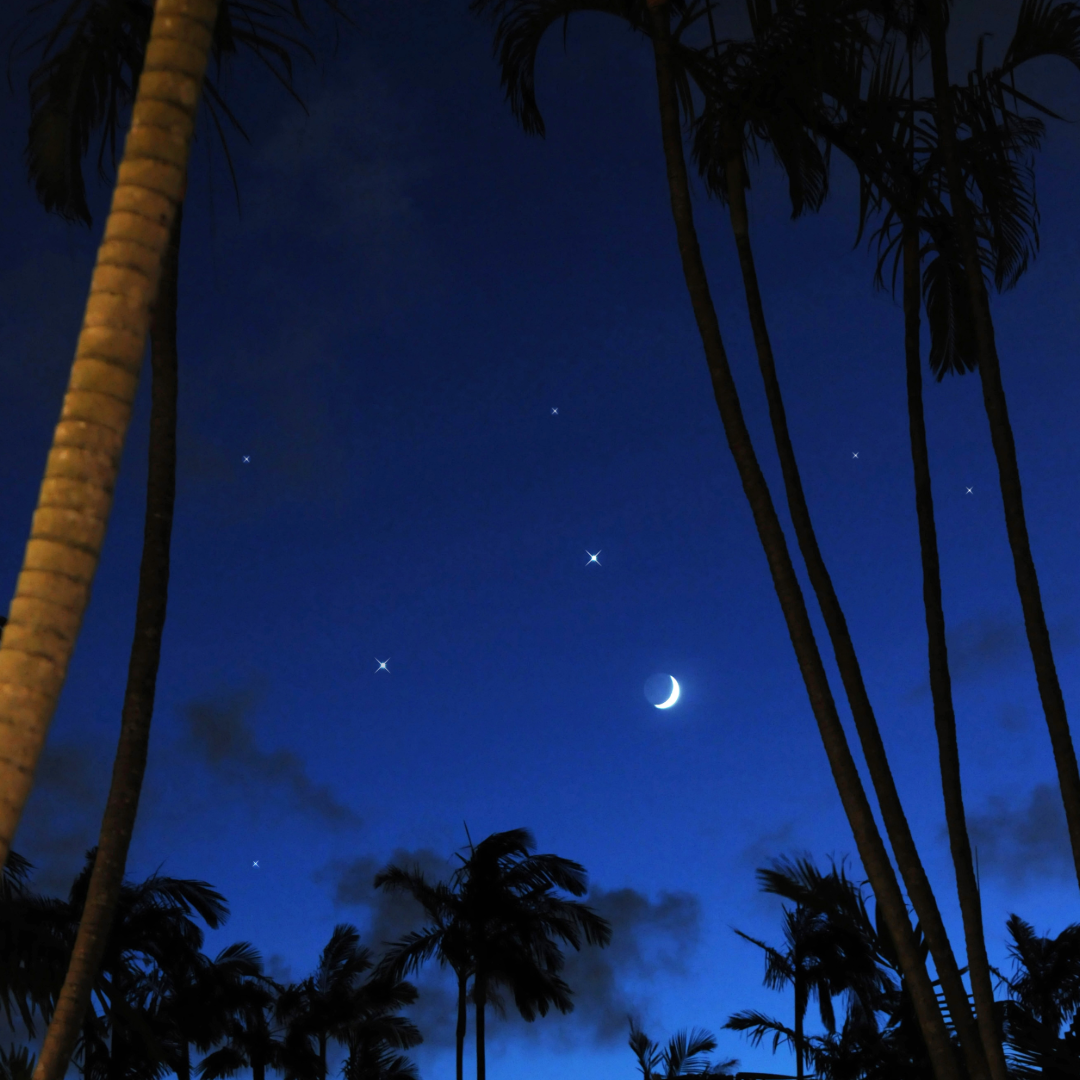 おきなわ　星月夜