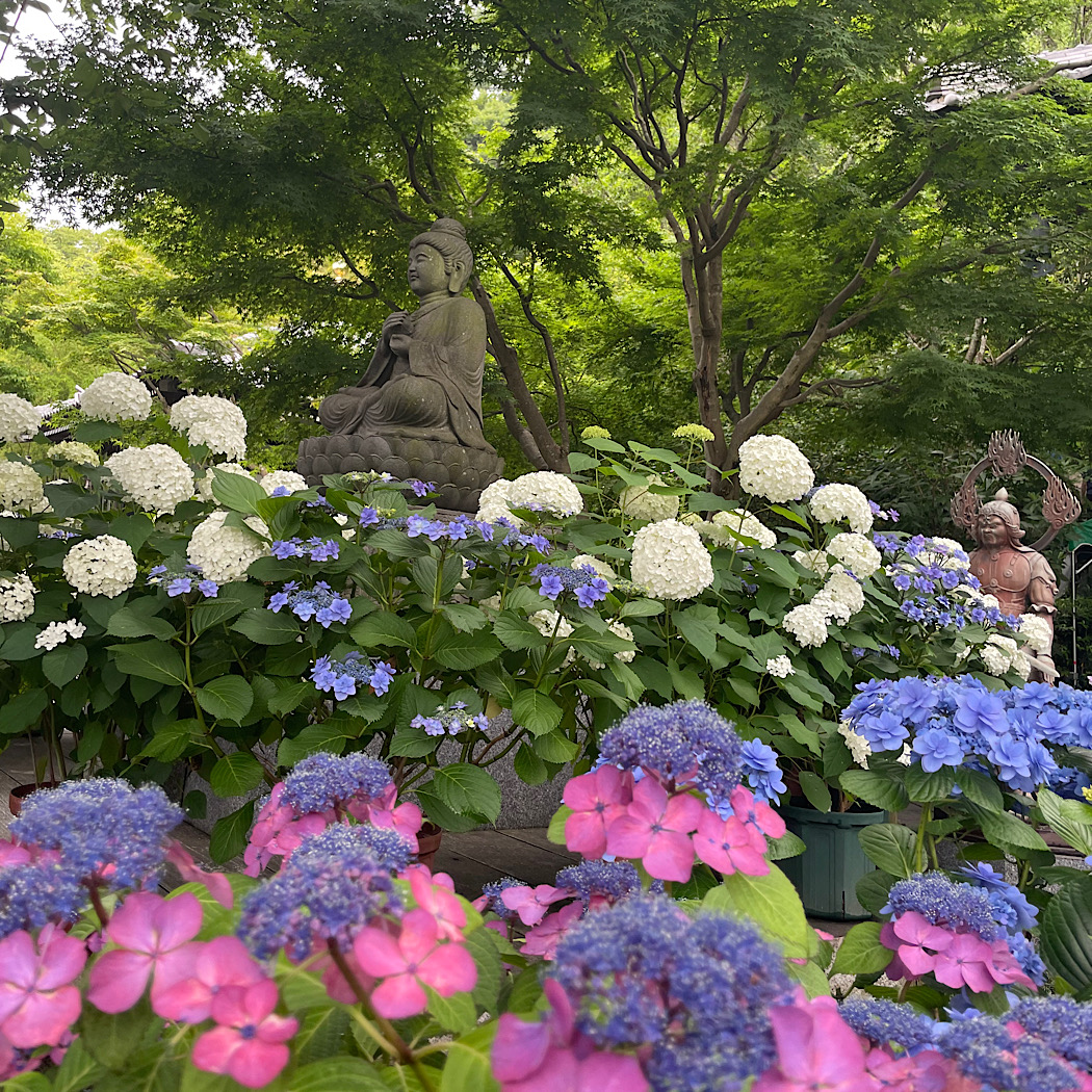 鎌倉から夏至