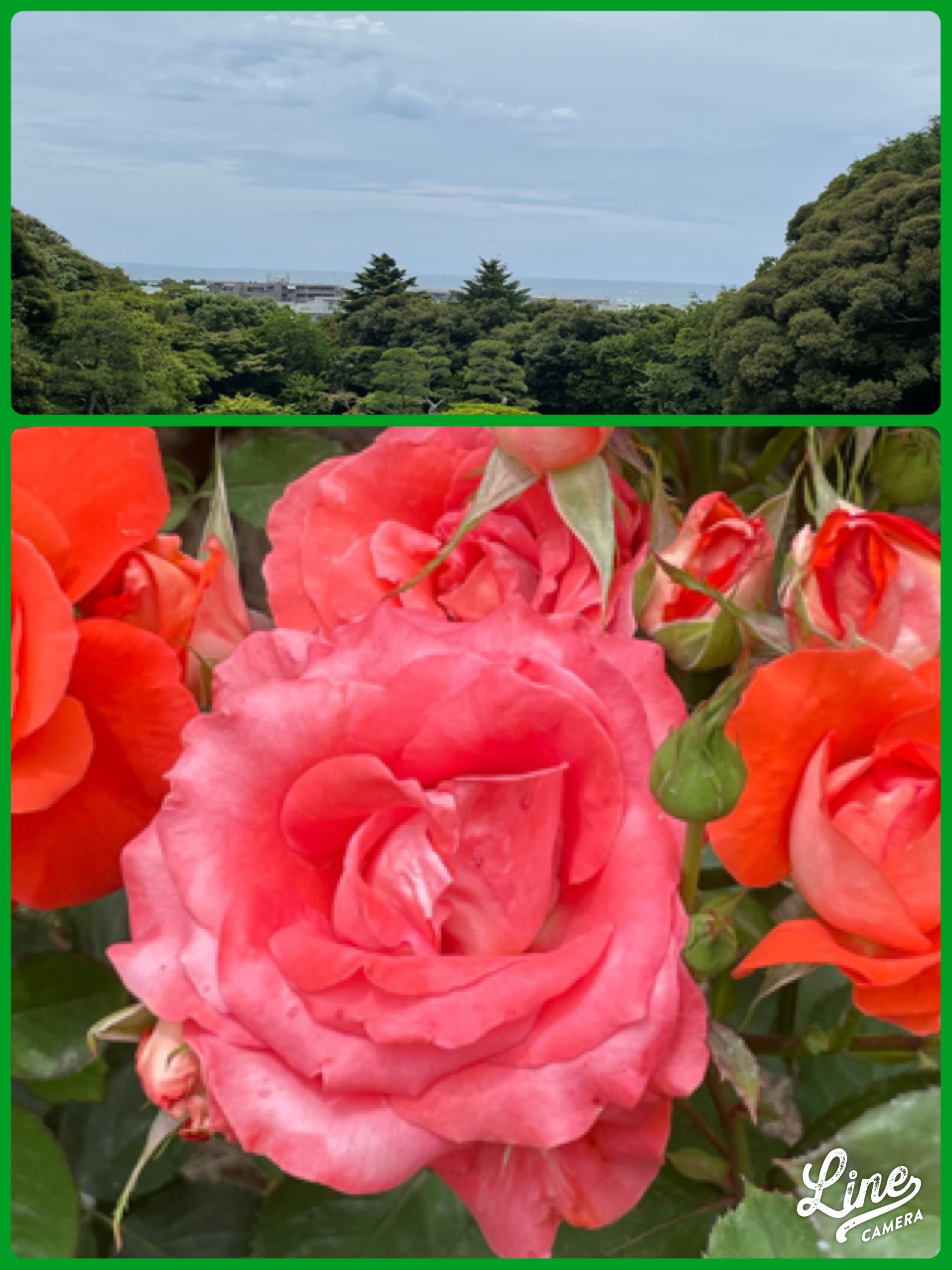 鎌倉花ざかり