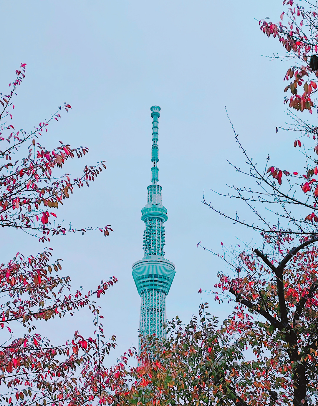 浅草からストレスフリー