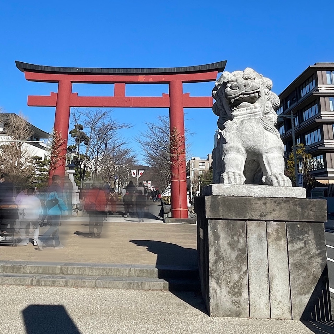 鎌倉　QOL(生活の質)