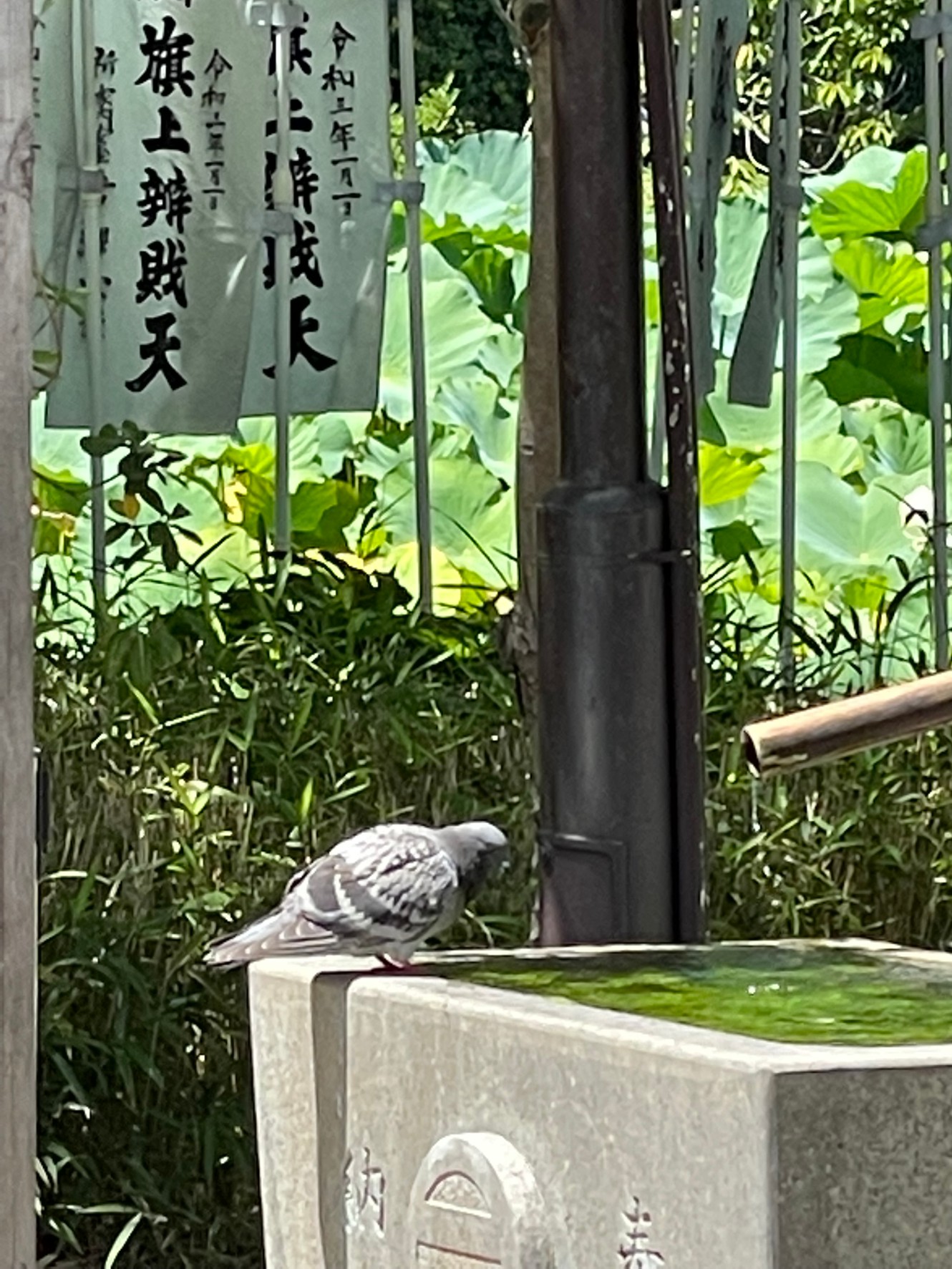 天地始粛 (てんち　はじめてさむし)