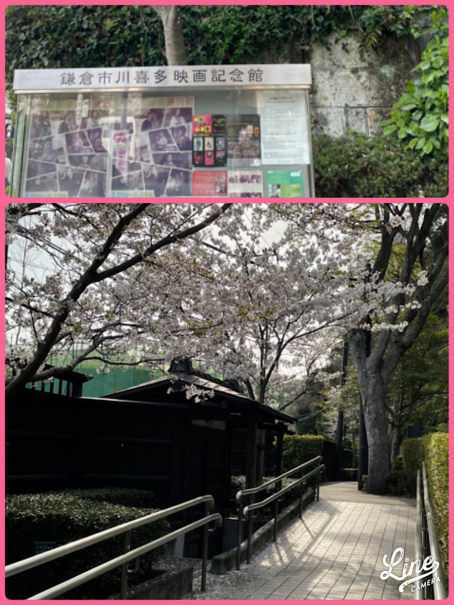 小町のコミチに