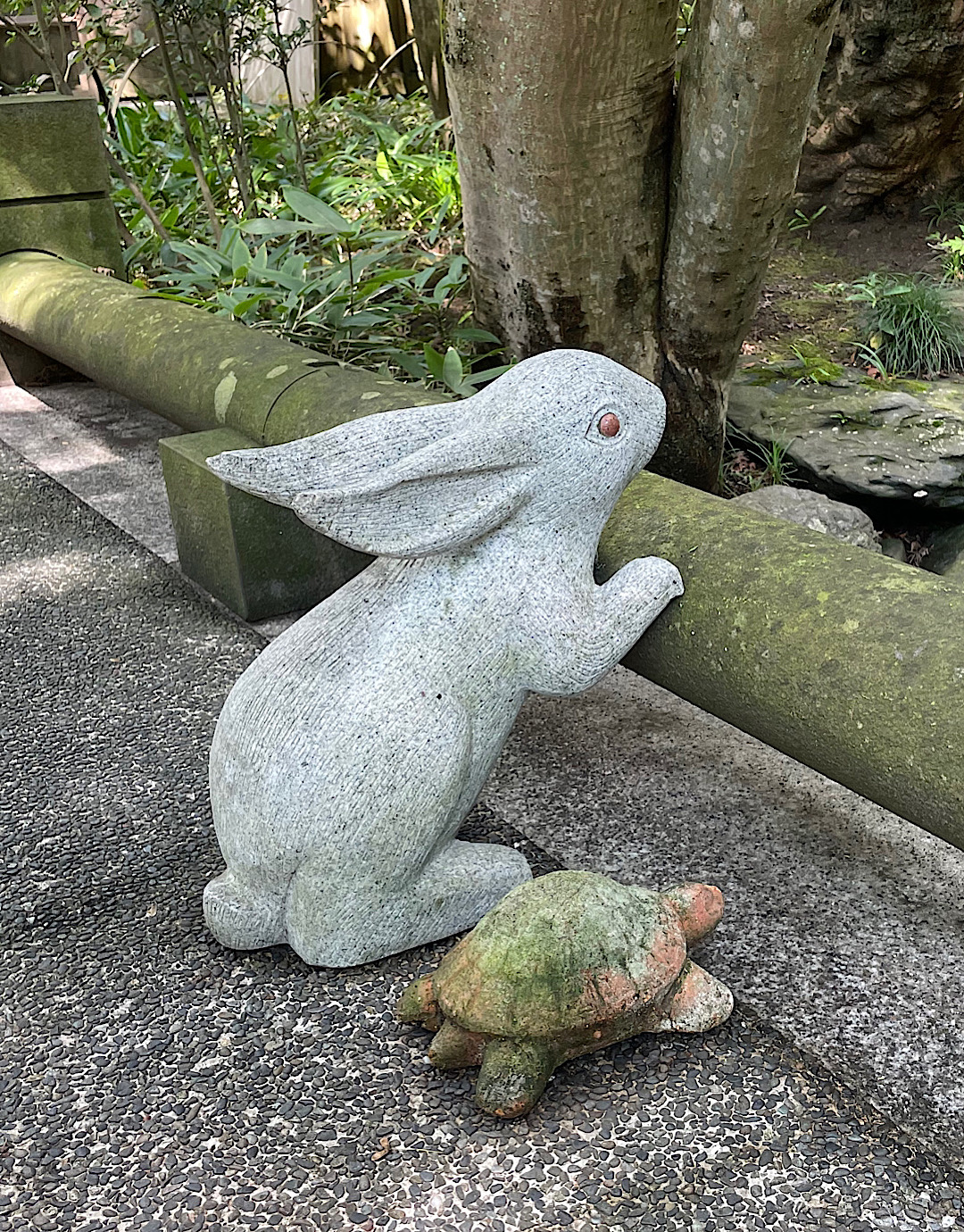 中秋の名月　鎌倉