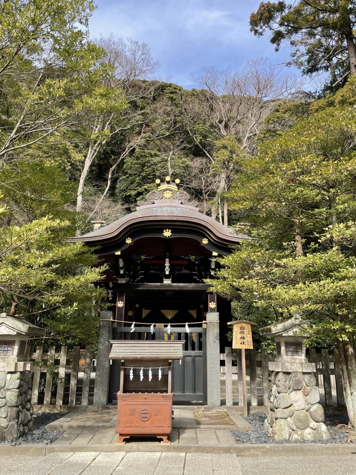 草木萌動 (そうもく　めばえ　いずる)