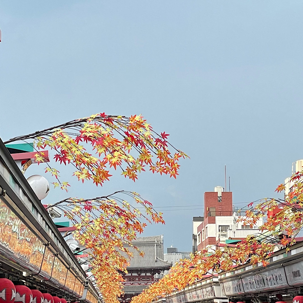 あさくさ　秋の瞬間