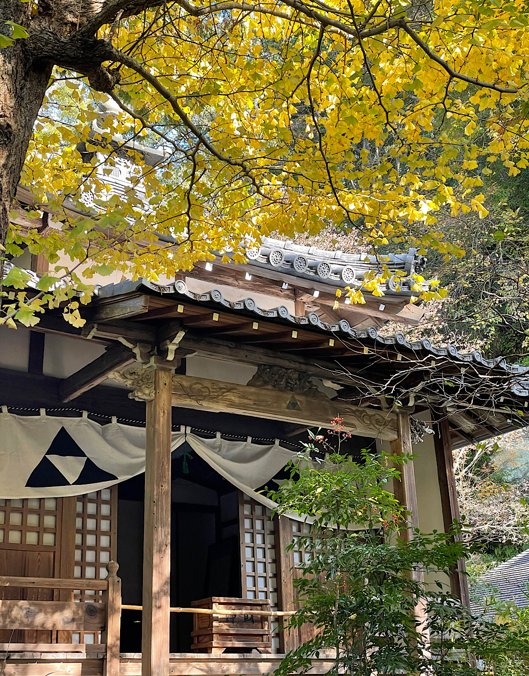 鎌倉時代から