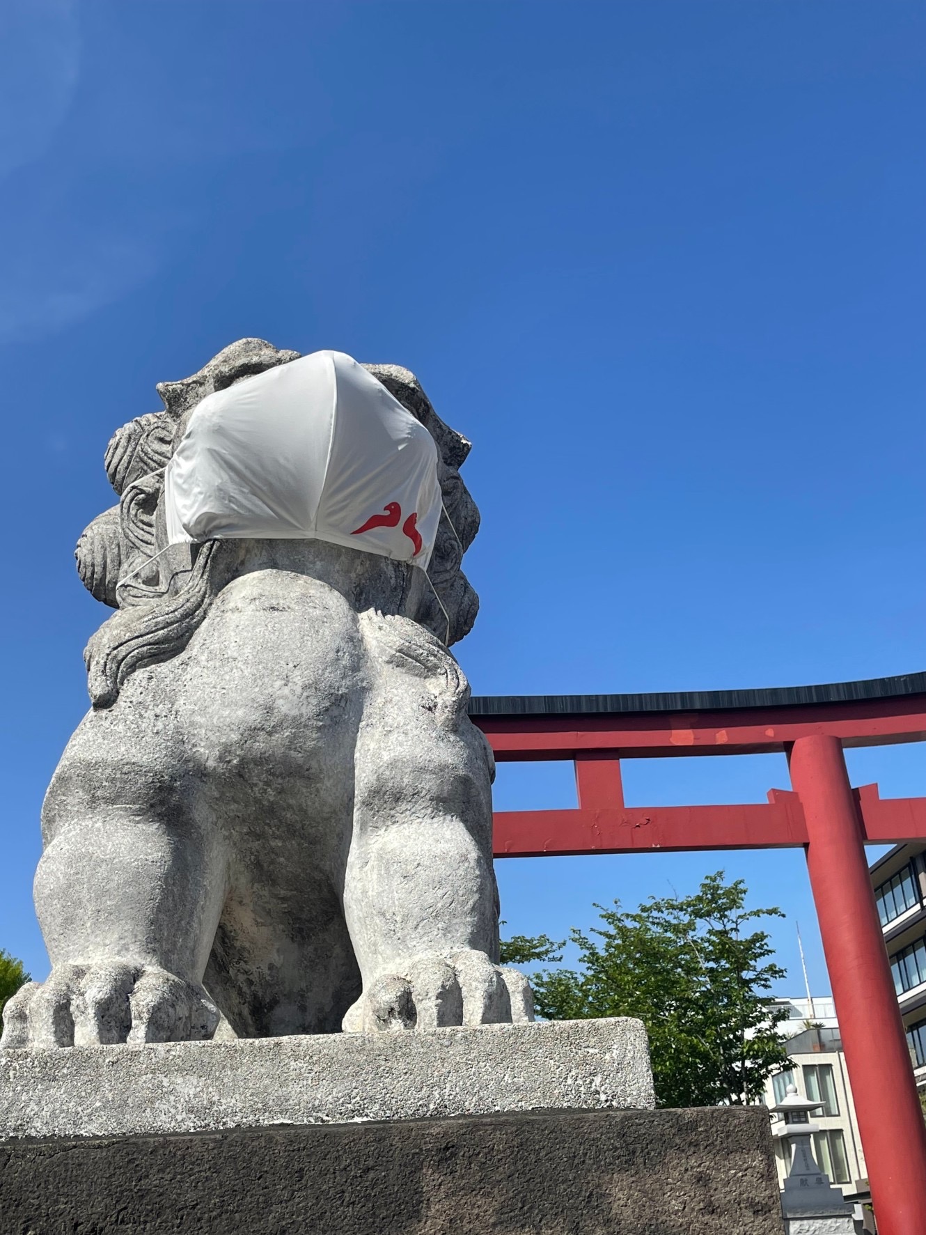 鎌倉の5月