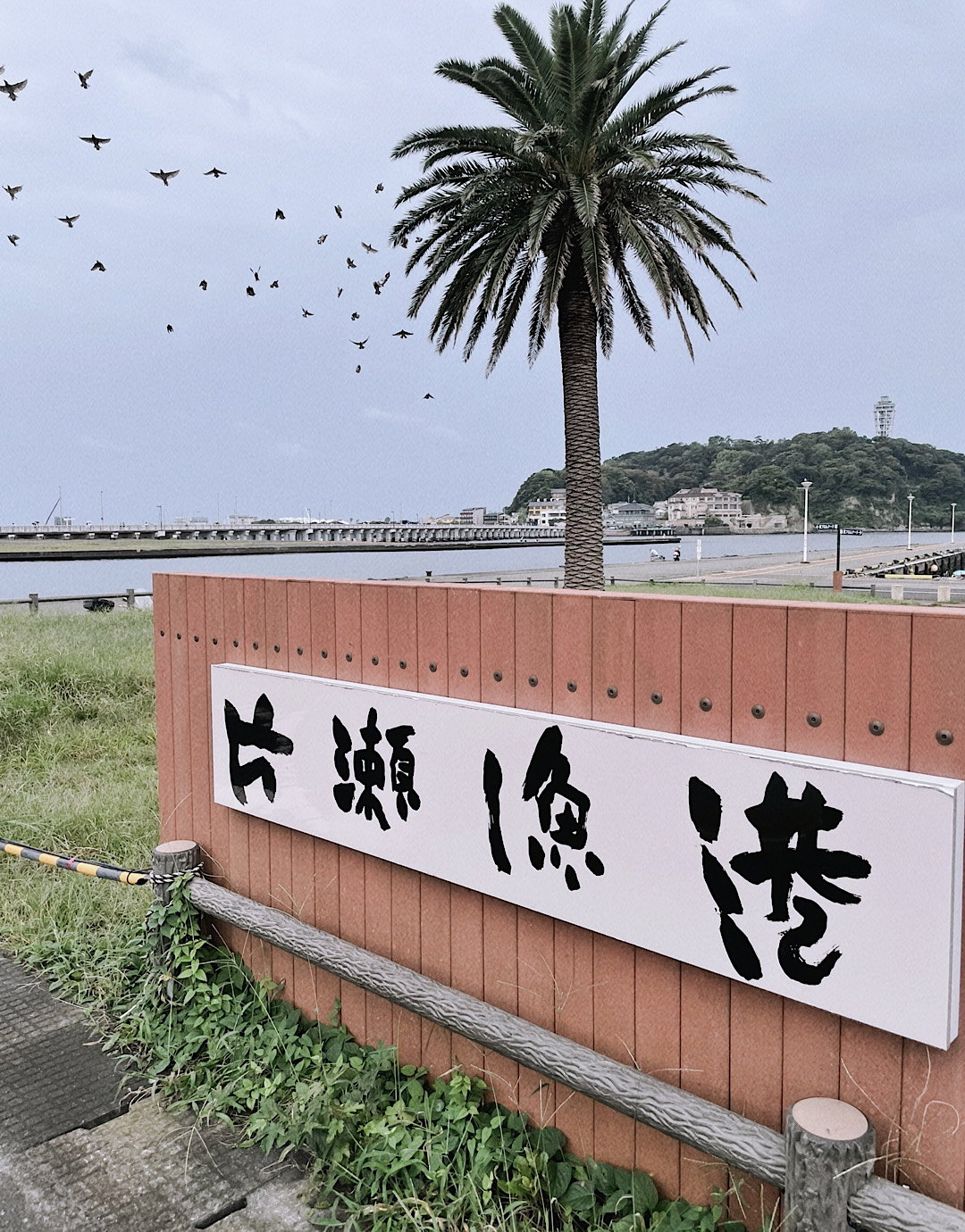 鎌倉の日常を