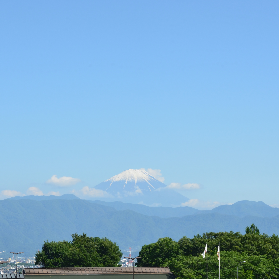 さくら前線 双葉