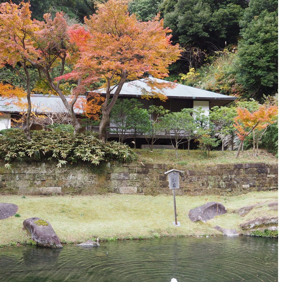 紅葉はじめ鎌倉