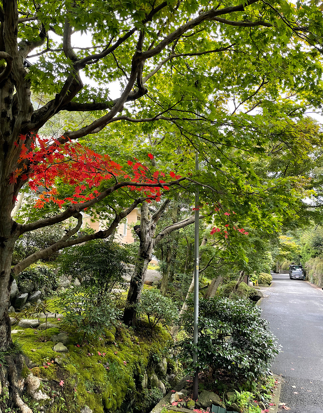 蟋蟀在戸（きりぎりす　とにあり）