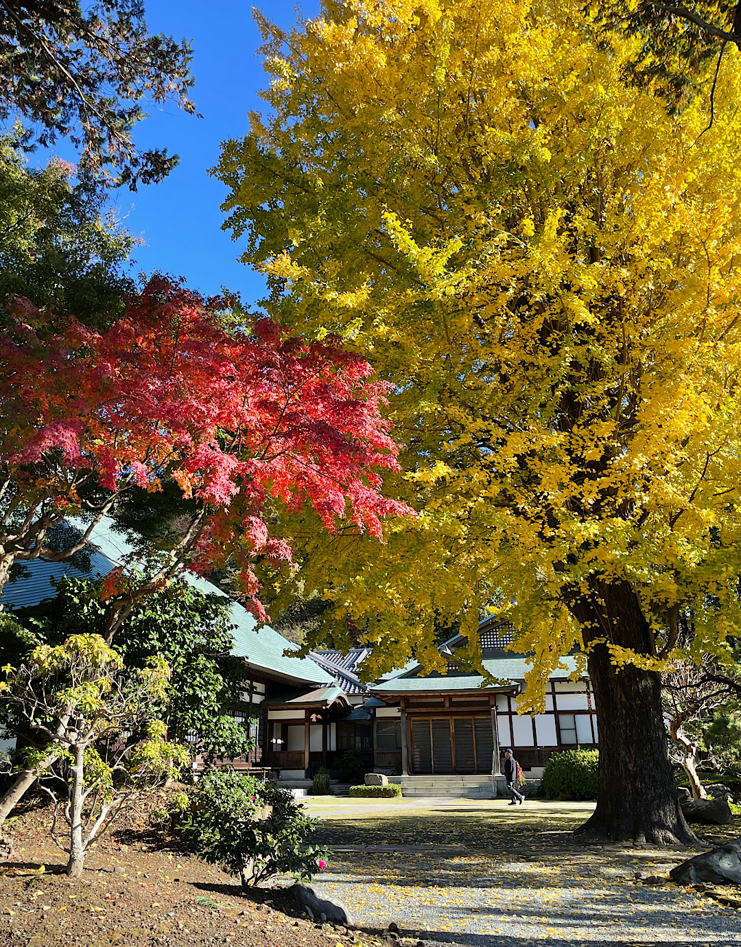 鎌倉　浄妙寺