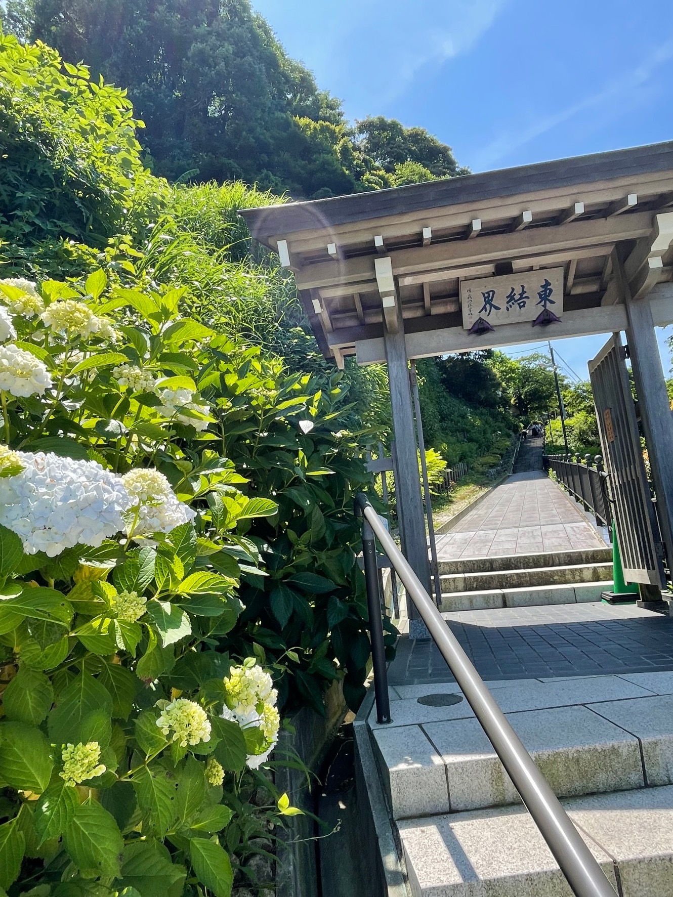 鎌倉　梅雨の序章