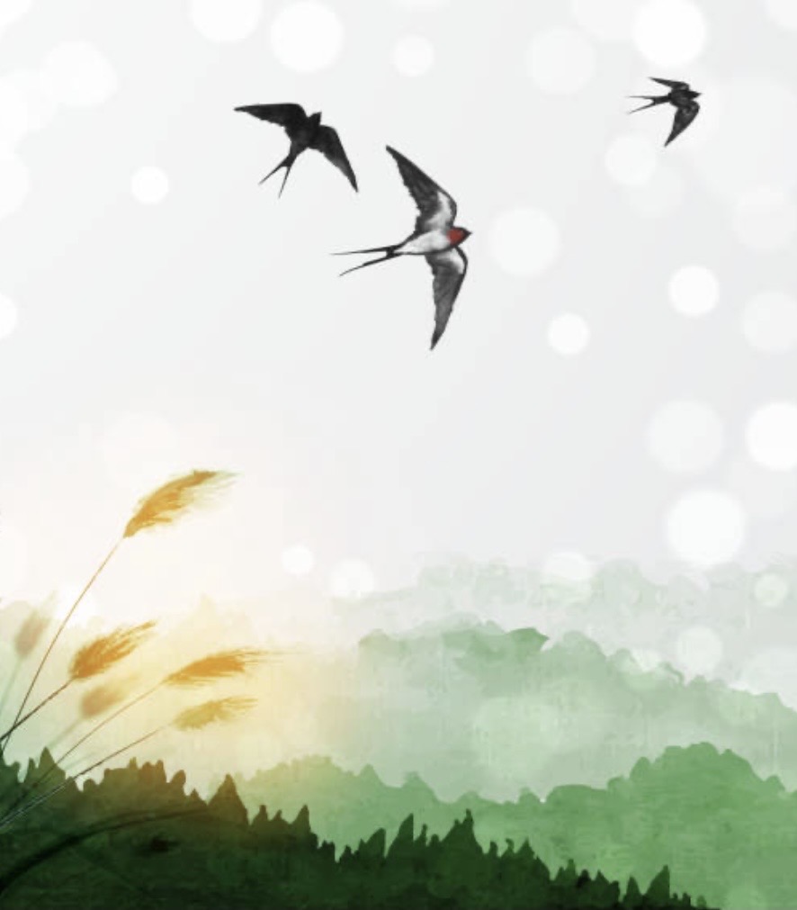玄鳥去(つばめ　さる)