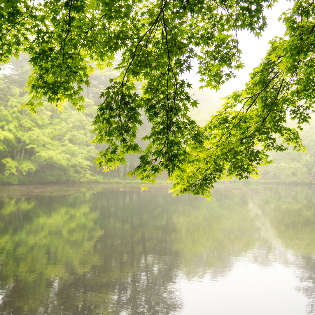 かるいざわ　細小波(いさらなみ)