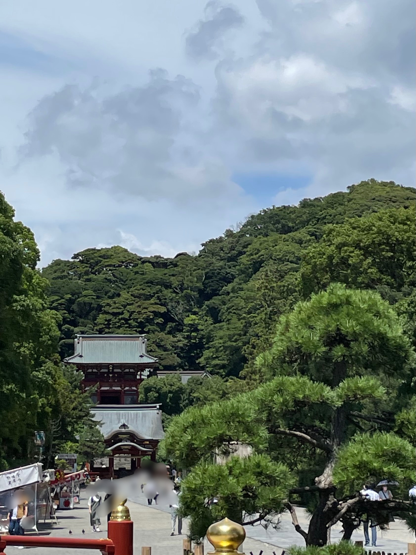 鶴岡八幡宮だより