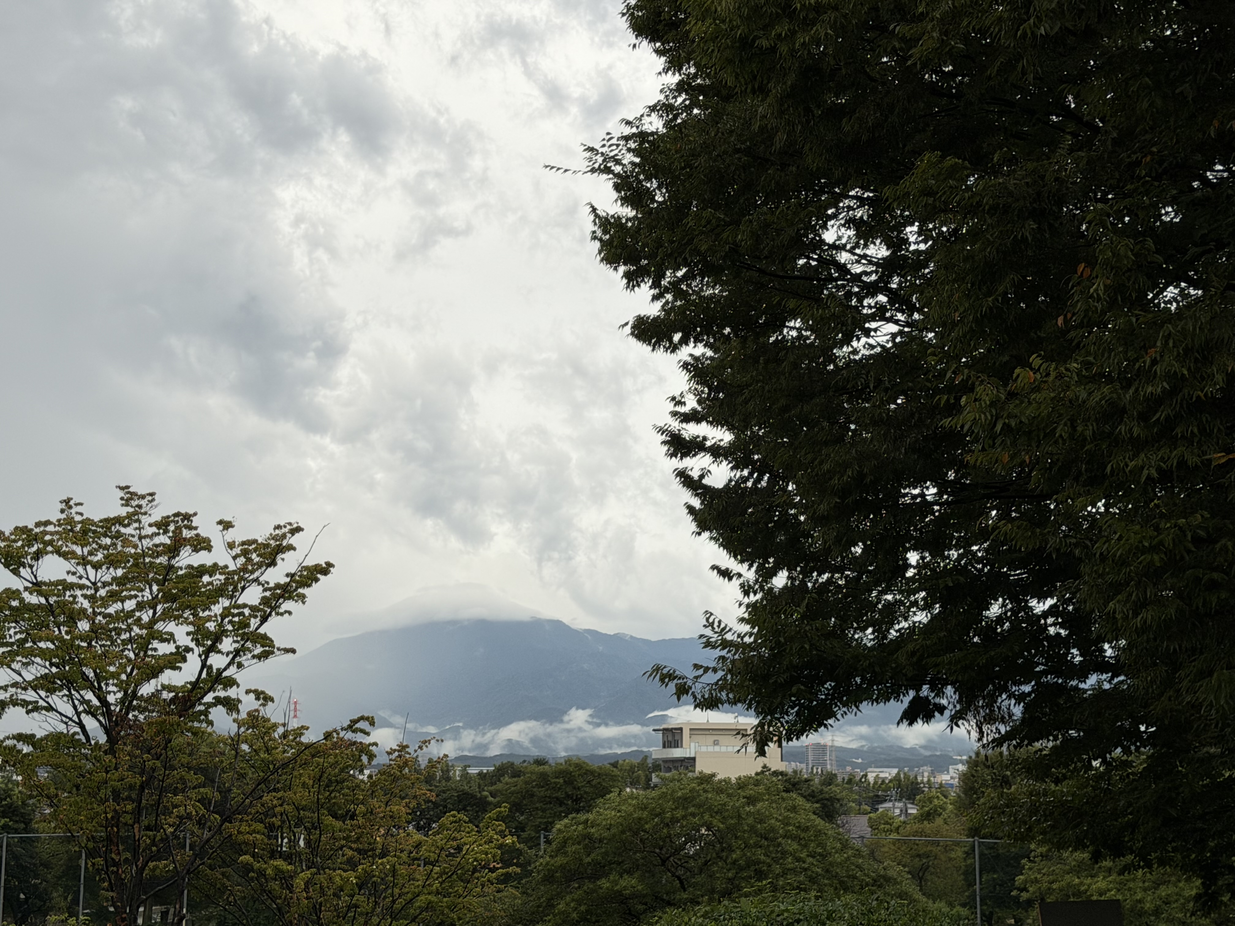 海老名365雨上り