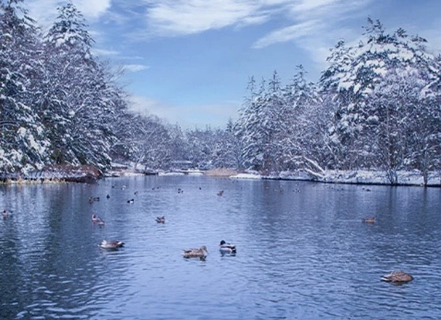 冬の土用　軽井沢から