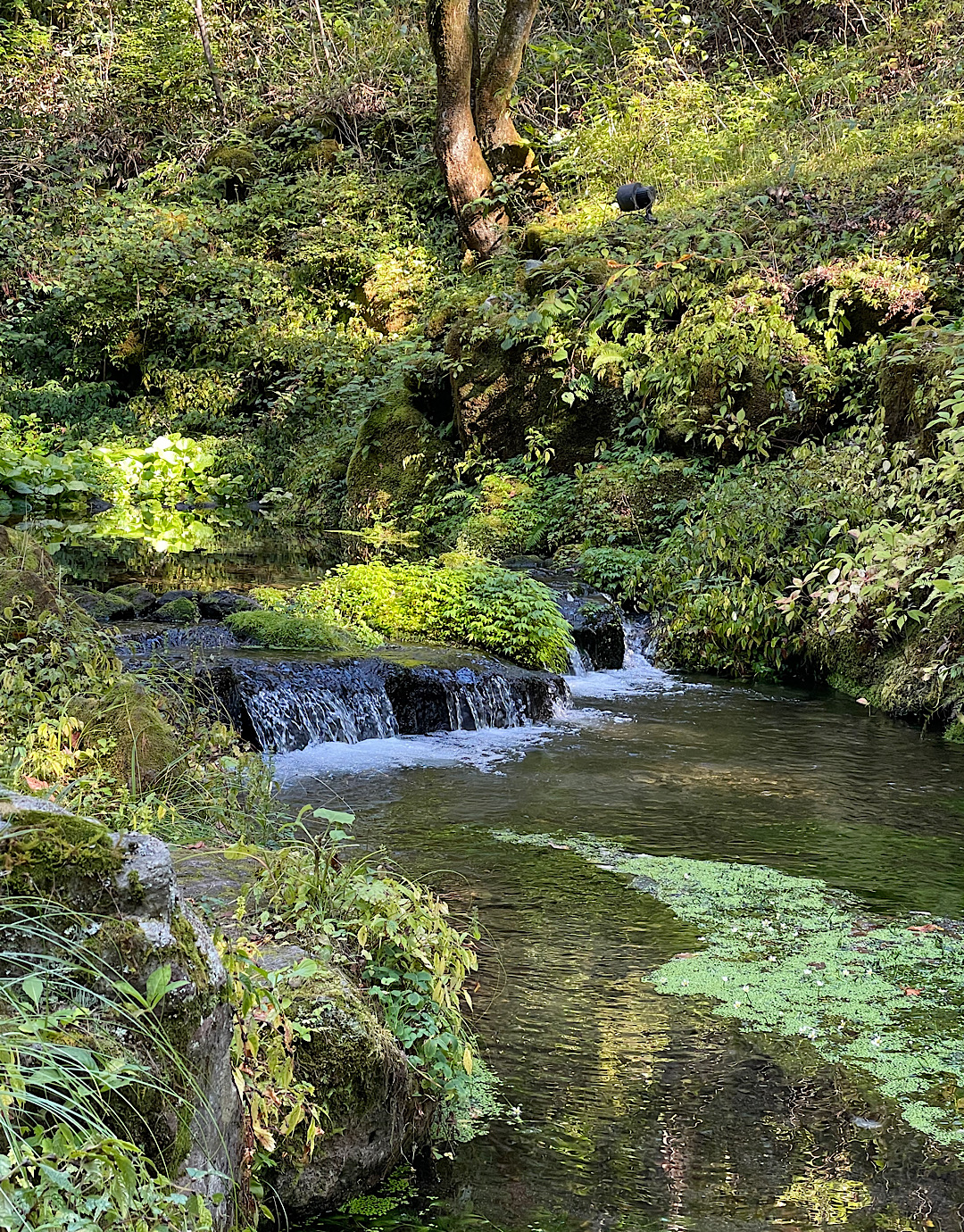 秋の軽井沢