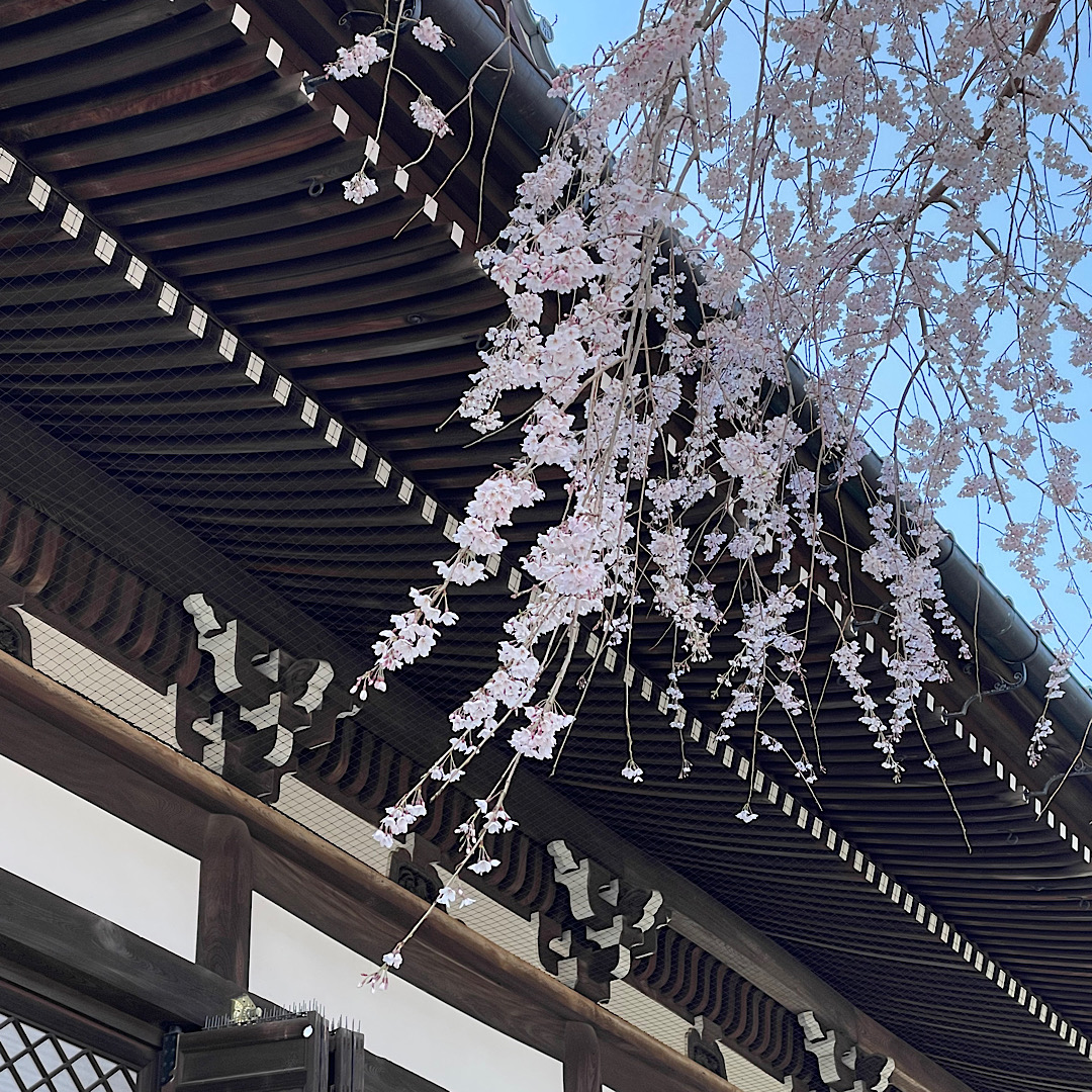 4月の鎌倉