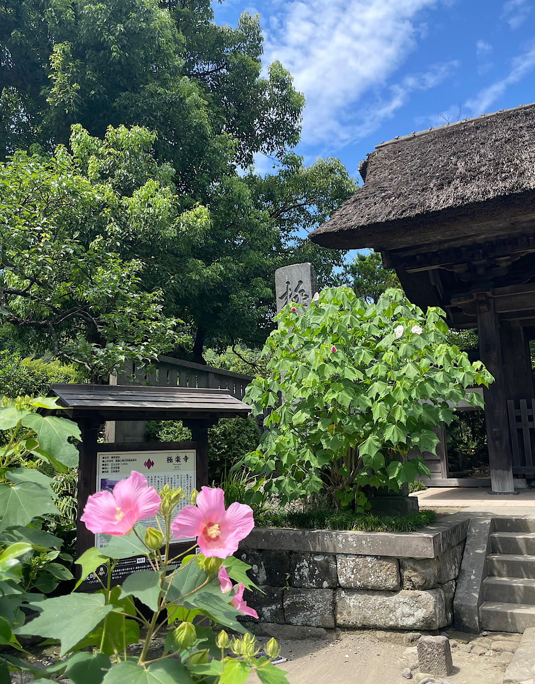 鎌倉　晩夏の極楽寺
