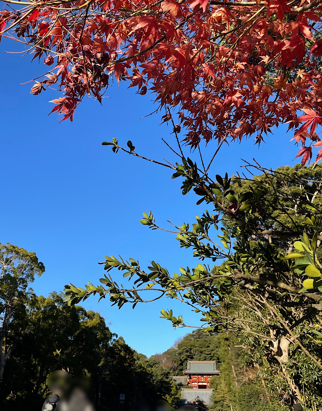 冬至の鎌倉