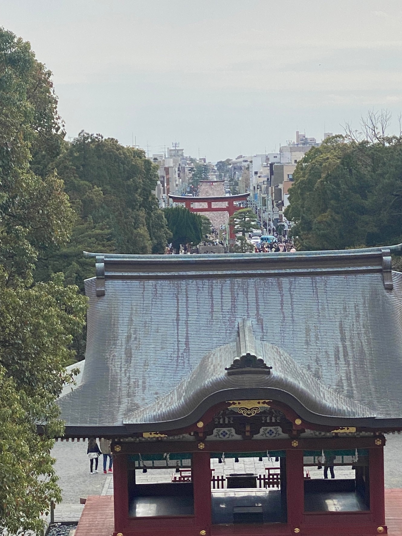 4月をむかえた鎌倉