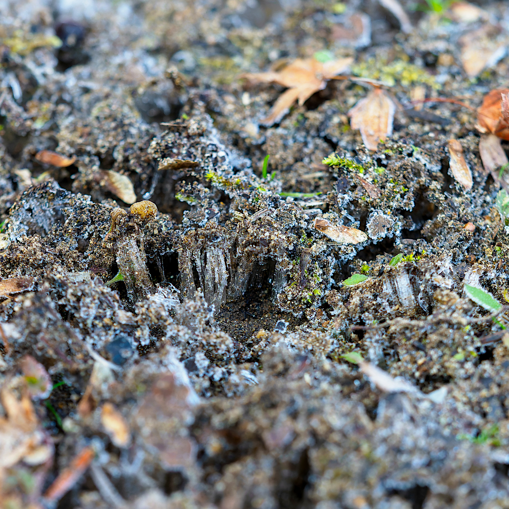軽井沢はもう冬