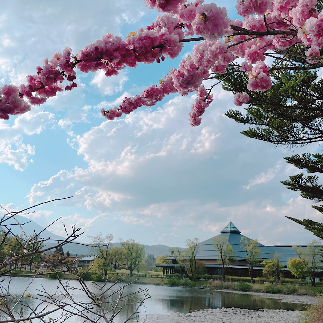 軽井沢　桜めぐり