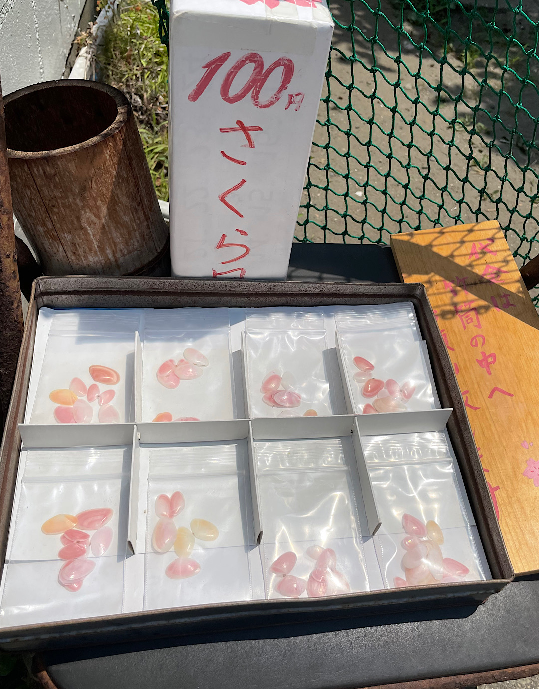 鎌倉　材木座から