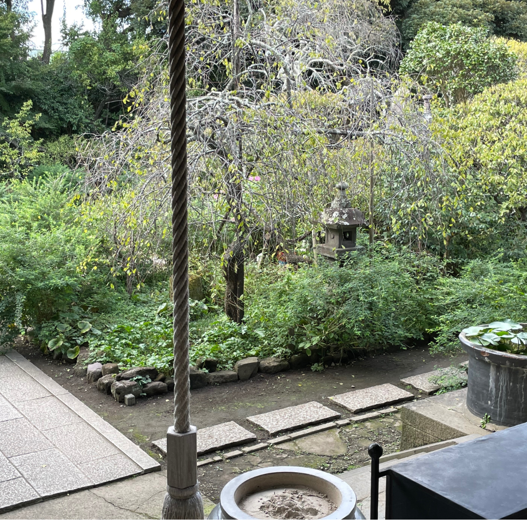 鎌倉365萩寺