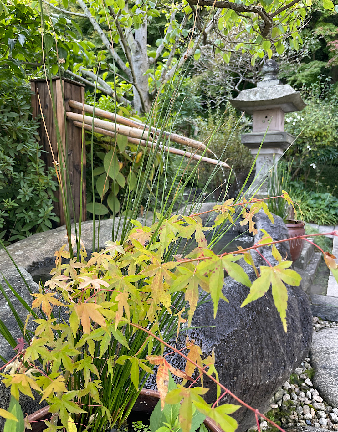 鎌倉　長谷寺へ