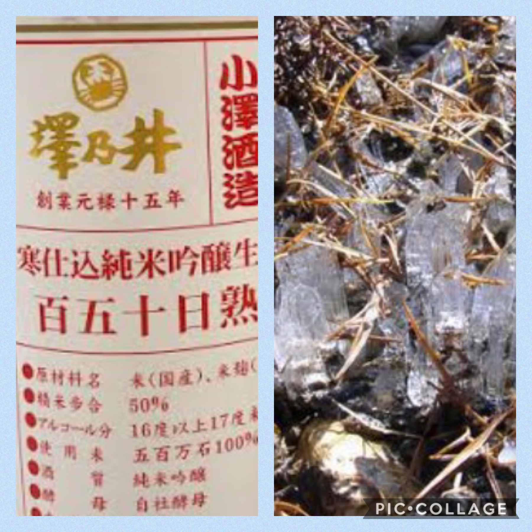 大寒をむかえて