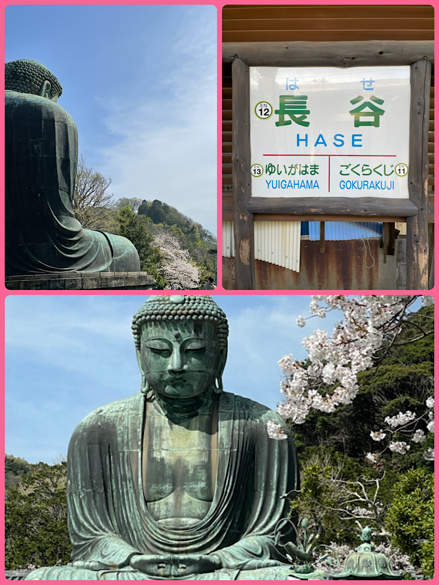 エノシマ⑤
