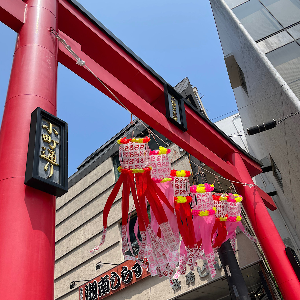 夏至を過ぎた鎌倉