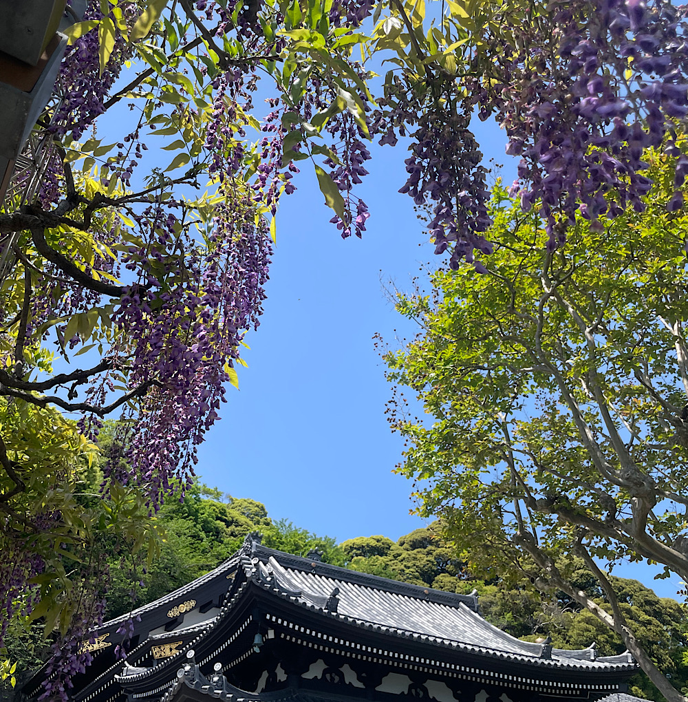 五月晴れ(さつきばれ)